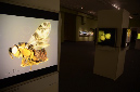 Wasp_exhibition__DSC3500